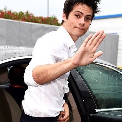 dylanrpgoxfd1's profile picture. alice mv