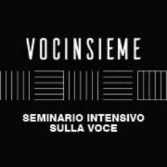 Vocinsieme© è, a buon diritto, è da considerarsi il miglior seminario di canto presente oggi in Italia.