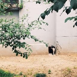 ji_yhztzbs's profile picture. 