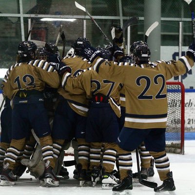 Official twitter account of the Stoney Creek Varsity hockey team. Follow for news, updates, games, locations, and much more. GO COUGARS!