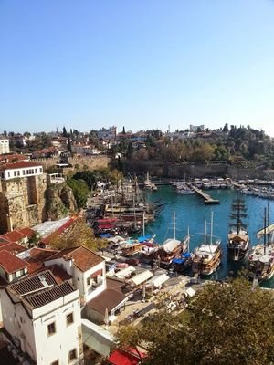 bayram_ozyurt's profile picture. 