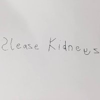 Sleaze Kidneys (@sleazekidneys) 's Twitter Profile
