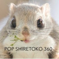 Popshiretoko360🐾(@Popshiretoko360) 's Twitter Profile Photo
