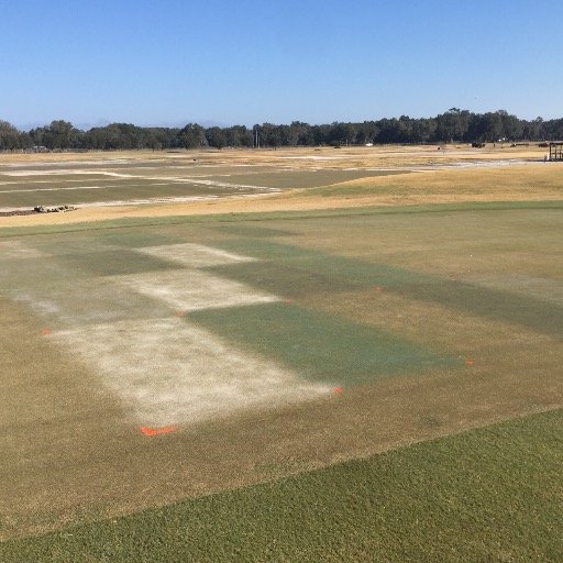 Our team of UF/IFAS researchers work to expand the knowledge and understanding of turfgrass management and the role it plays in the ecosystem.