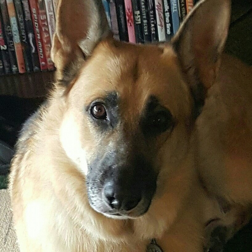 Hairstylist, I like watching reality tv shows, entering giveaways, #Beauty, #GoSpursGo, and playing with my German Shepherd Diesel!