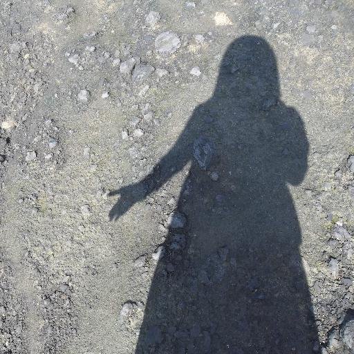 reader,teacher,dreamer, mother (?)