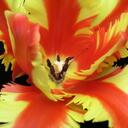 Catherine Watts - @tauruschild - Twitter