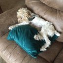 Nancy Whitten - @nancy_whitten - Twitter