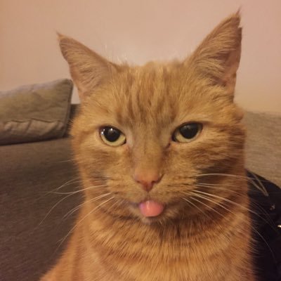 pacorrie's profile picture. Pure imagination in a metaphoric dream