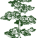 Patty Goodwin - @pinecreekprops - Twitter