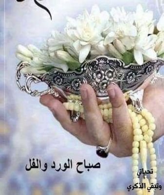 TahiriAbdlkade2's profile picture. 