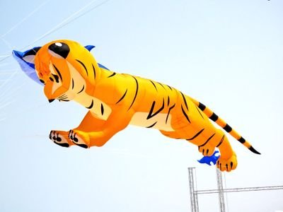 Sojun96967490's profile picture. 