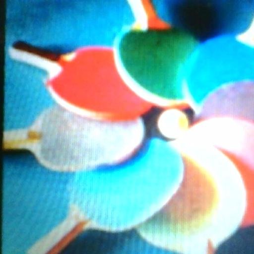 tabletennislady's profile picture. Compete in HolyCity Women's Open Table-Tennis Tournament to support & promote women's sport in SC. Click on link below. Thank you. Image Courtesy ITTF