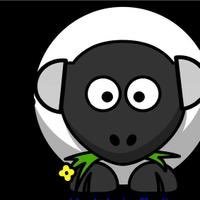 hochrhein's profile picture. News vom, am, um dem Hochrhein (Dreilaender-Eck) und dem Oberrhein (Baden)/Haut-Rhin (Elsass). Wissenswertes aus D, CH, F. Sendehinweise Freies Hochrhein-Radio