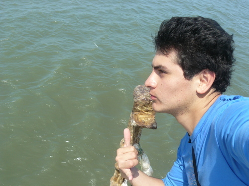 Erick Rojas Figueroa