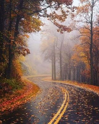 Somnath93955274's profile picture. love you all