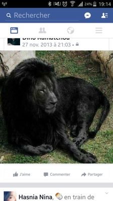 DCamatcho's profile picture. 