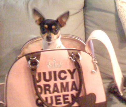 IWBlogLA's profile picture. living luxe without spending the bux.