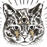 Grey Tiger (@greytigerto) 's Twitter Profile