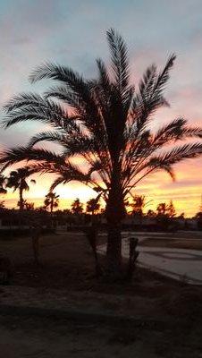 KASSEMMOURAD's profile picture. 