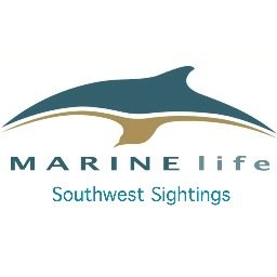 MARINElife have re-launched their southwest sightings project, aiming to gather public sightings of cetaceans around the Dorset, Devon and Cornwall coasts.