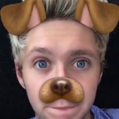 1993irishhoran's profile picture. Every champion was once a contender who refused to give up♡ 3/5 Access