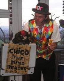 Marko_Sparko's profile picture. 