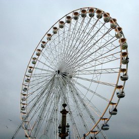 FerrissWheel's profile picture. family, community & the sisterhood keep me going