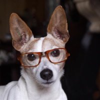Draduag (@draduagf) 's Twitter Profile