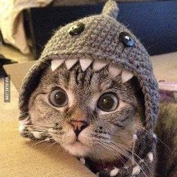 VOLDIMAR1983's profile picture. 