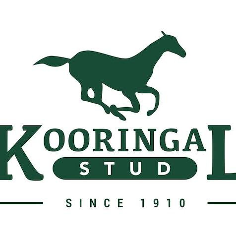 Kooringal has been in operation for over 100 years & is home to MERCHANT NAVY, PRIZED ICON, FINANCE TYCOON, SANDBAR and THE BROTHERS WAR.