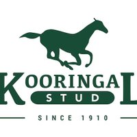 Kooringal Stud (@kooringalstud) 's Twitter Profile