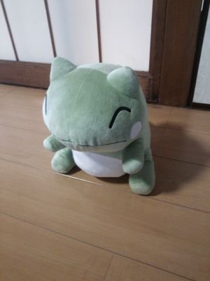 yokoyama_0503's profile picture. 東海大学湘南キャンパス 2016年度新入生です
学科やサークルの情報を集めるために無言でフォローすることが多いです