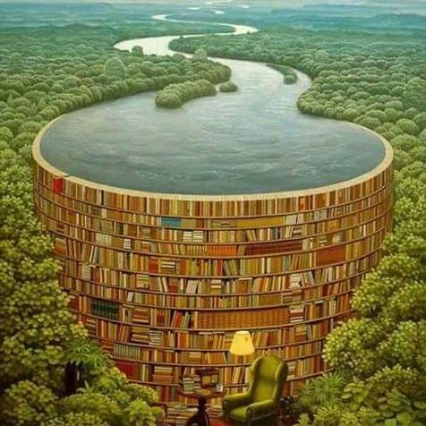 amr2020431's profile picture. 