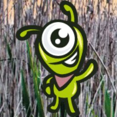 ChitatelNet's profile picture. Sunny Website