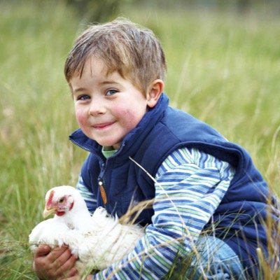 Producing delicious meadow grazed chickens from our holistically managed farm. From our paddock to your table - great old-fashioned flavour - how it should be.