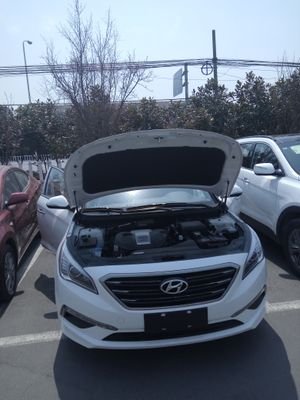 xiaolulu8's profile picture. dji-msdk-psdk-cloudapi