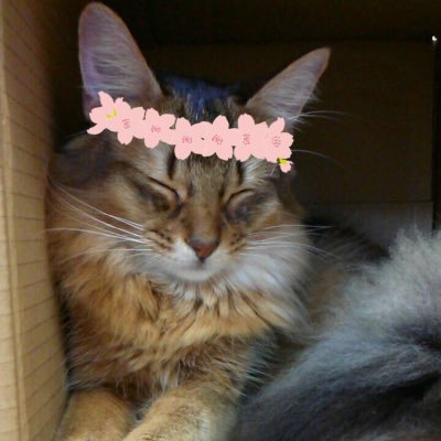 へーさんのプロフィール画像