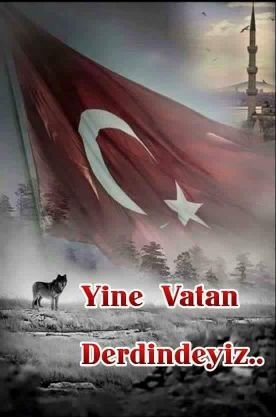 yavuz25k's profile picture. 