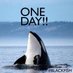 Free all orcas ◕‿‿◕ (@freeallorcas) Twitter profile photo Free all orcas ◕‿‿◕ (@freeallorcas) Twitter profile photo