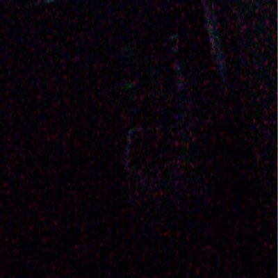 使わない En Twitter クシャおじさん好きだわ なんかかわいいしおもしれ 面白い クシャおじさん 笑ったらrt T Co Sympirmk6g 使わない En Twitter クシャおじさん好きだわ なんかかわいいしおもしれ 面白い クシャおじさん 笑ったらrt T Co Sympirmk6g