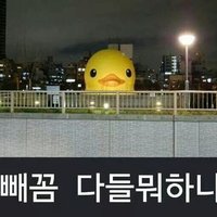 빼꼼 (@crons39) 's Twitter Profile