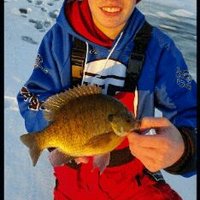 Josh Cox (@joshcox98666102) 's Twitter Profile