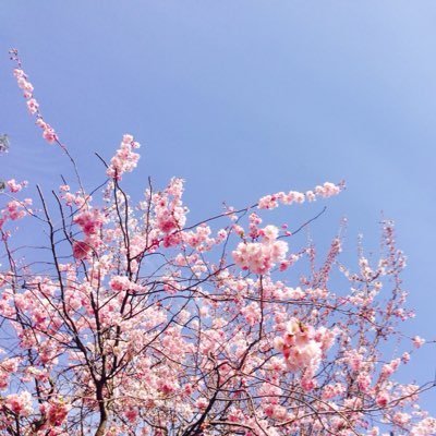 junkokoro3's profile picture. Mum of three beautiful girls , love musicals, food and music .