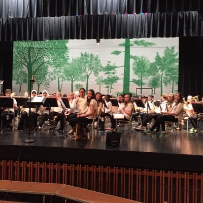 RLESMusicwithJJ's profile picture. Junior/Intermediate Instrumental Music Teacher 🎶