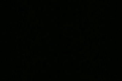 VenardRaymond's profile picture. vray31