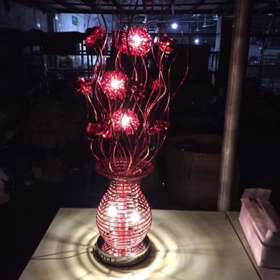 kangkang1987's profile picture. 企業 名人 國際體育 體育