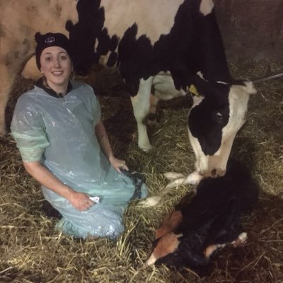 UK farm vet working predominantly with dairy cattle. Bases in the North West/ Midlands. Particularly interested in calf health. Love cows.