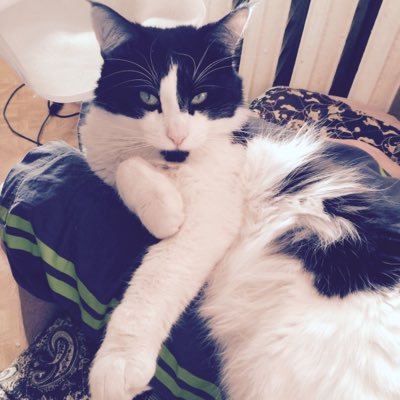 pearldiver26's profile picture. 