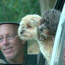 Steve Welsch - @stevwel - Twitter